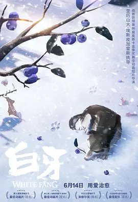 单间2020